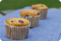 cranberry yoghurt muffins